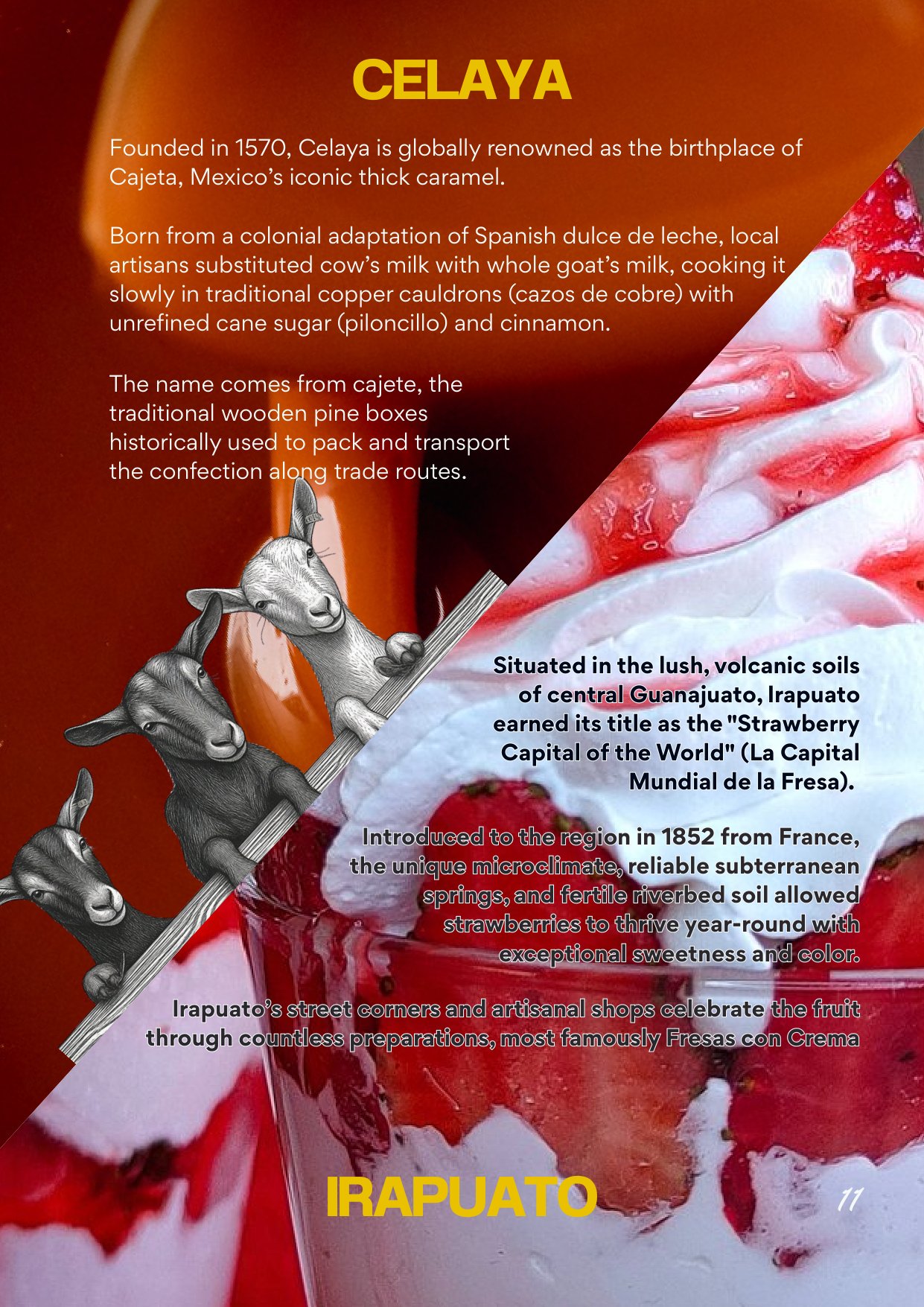 Querida Magazine — Guanajuato, The Heartland of Independence, page 11 of 36. The colonial stone and the historic flame — from a silver city carved underground to the table in Al Barsha. Destination: Guanajuato, Mexico.